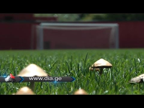 აუდიტი გორის „დილაში“ - დაიშლება თუ არა საფეხბურთო კლუბი? 12.06.2016