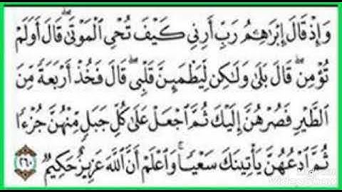 سورة البقرة 260-265 للقارئ محمد فاضل