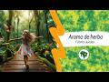 "Cheiro de mato" (Fátima Guedes) en Esperanto