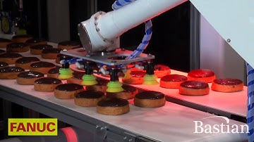 Vision Guided Robotic Picking- Quick Industrial Robots