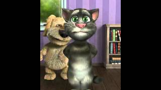 Canine .vs. Feline