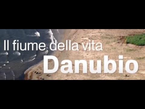 Video: Il fiume Danubio si è mai allagato?