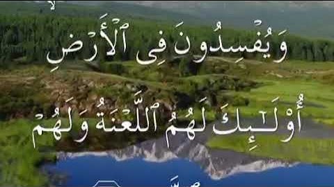 سورة الرعد الغامدي صفحة ٢٥٢مكتوبة مكررة بصوت عذب