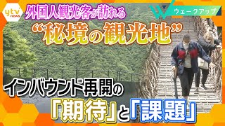 徹底取材！“外国人観光客”再開 期待と課題とは【ウェークアップ】