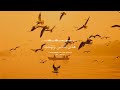 شهر رمضان الذي انزل فيه القران سوره البقره فضيله الشيخ ماهر المعيقلي 
