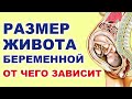 Нормы размера живота беременной. Когда быстро растет живот у беременных. Живот беременной.