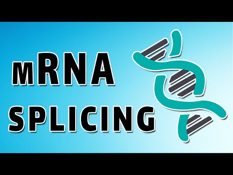 Βίντεο: Πώς λειτουργεί το mRNA Splicing;