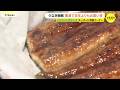 今年はうなぎが安い　「うなぎの稚魚の豊漁で値下がり」土用の丑の日を前にうなぎ特設コーナー　広島市