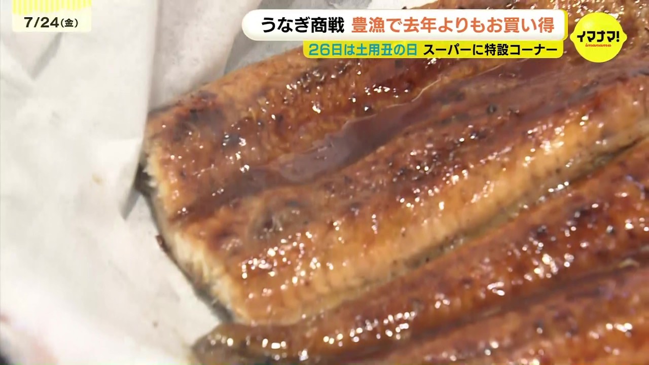 今年はうなぎが安い　「うなぎの稚魚の豊漁で値下がり」土用の丑の日を前にうなぎ特設コーナー　広島市