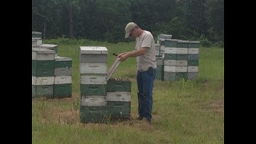 Chris Moore- Preventing & Controlling Swarms