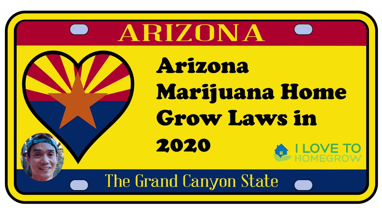 Arizona Marijuana Home Cultivation and Growing Laws 2020
