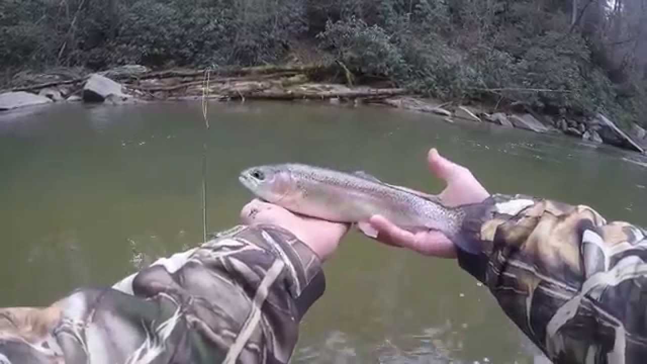 Chauga River Trout 1915 YouTube
