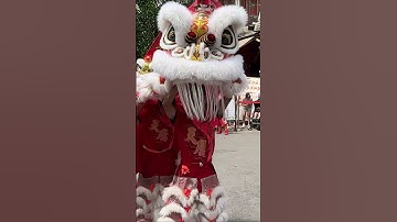 Thumbnail of Chinatown | Traditional Lion Dance