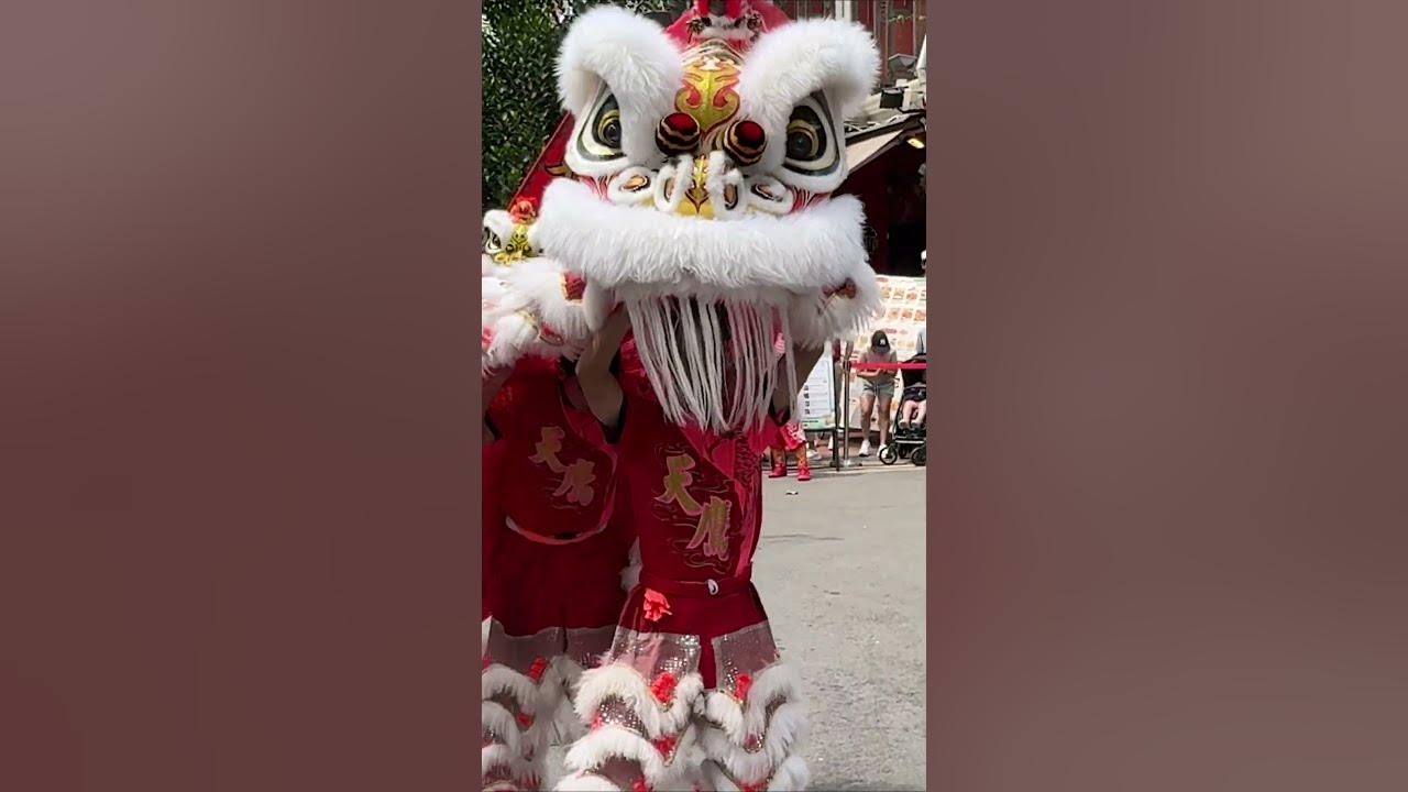 Chinatown | Traditional Lion Dance
