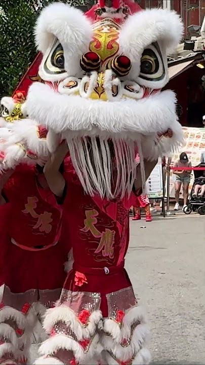 Chinatown | Traditional Lion Dance