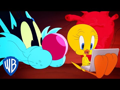 Looney Tunes em Português ?? | Brasil | A nova casa do Piu Piu | WB Kids