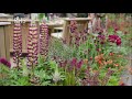 Rhs chelsea flower show 2022 highlights  royal horticultural society