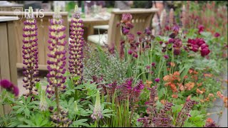 Rhs Chelsea Flower Show 2022 Highlights Royal Horticultural Society