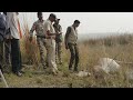 Guardians of tadoba   marathi