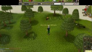 RUNESCAPE EASTER 2009 EMOTE