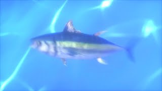 Download Lagu KARDI (카디) - Back! (Visualizer) MP3