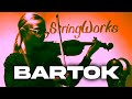 Kallo Bartok - Violin DEMO