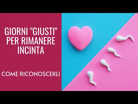 GIORNI GIUSTI PER RIMANERE INCINTA | Come riconoscerli