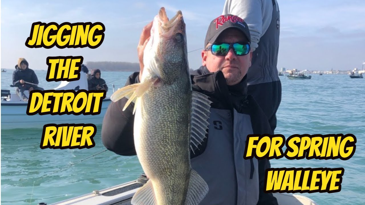 michigan walleye tour detroit river