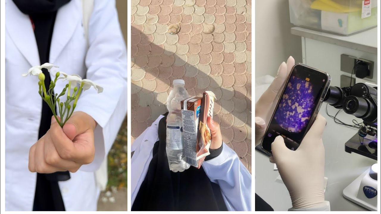 #فلوق جديده روتيني اثناء دوم #نصائح شلون نبدا نشتغل بالمختبرات بدون ارتباك