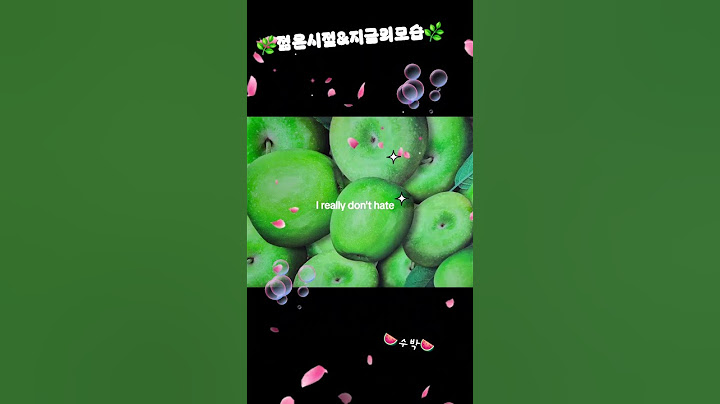 🌿젊은시절 자전거타고 춘천가서  막국수 먹고옴 새벽4시 출발 24시간 걸림🌿
