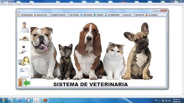 SISTEMA DE VETERINARIA EN JAVA NETBEANS