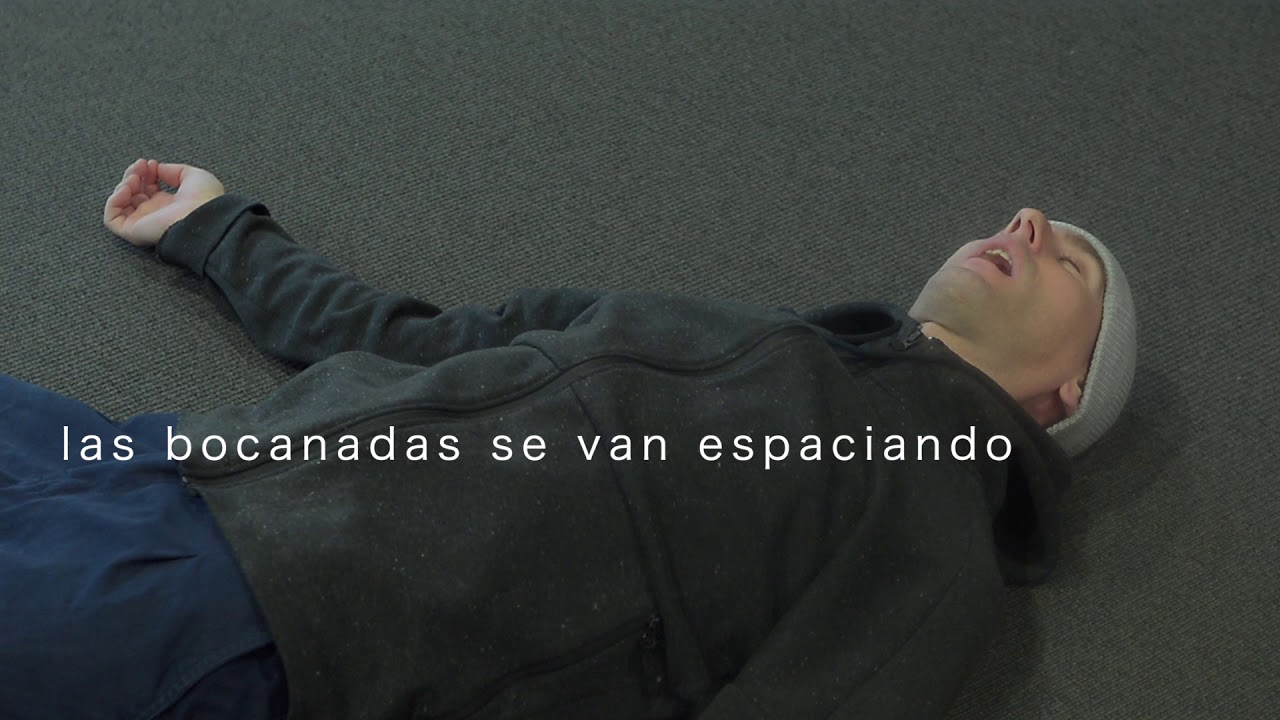 La respiración agónica o gasping indica parada cardíaca