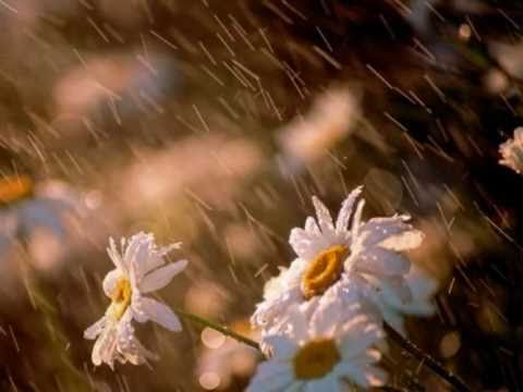 გარეთ წვიმაა