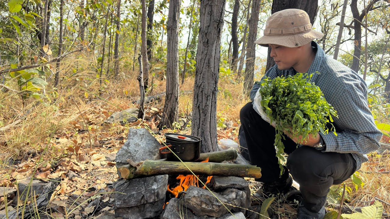 ขึ้นภูเขาหาเก็บผักหวานป่า  ทำเมนูกินในป่าแสนอร่อย