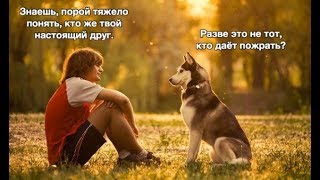Лучшая подборка Демотиваторов и фото приколов за неделю! Лучшая подборка Демотиваторов и фото приколов за неделю!