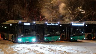 🇪🇪 Two new night bus routes