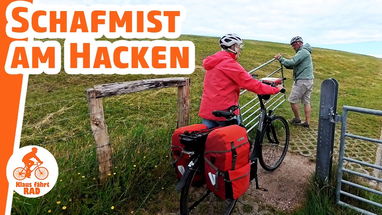 Ostseeküstenradweg - Abenteuer Fehmarn: Windstärke 7 & Schafwiesen-Chaos! #4