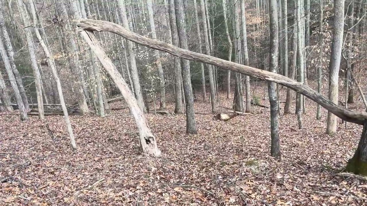 Setting my Tascam audio recorder out! 