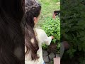 Selbstversorger Garten als Anfänger - 1. Ernte Update aus unserem Garten 🥬