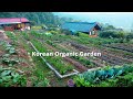حديقة الخضروات العضوية الكورية المزروعة والمحصودة على مدار العام 