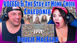 VOCES8 & The Stay at Home Choir - Caledonia by Dougie MacLean | THE WOLF HUNTERZ REACTIONS