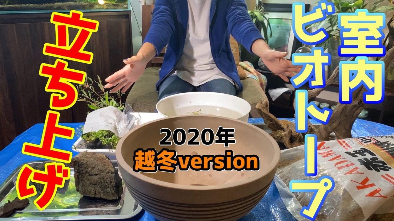 ビオトープ 年越冬の室内ビオトープ立ち上げ 冬の間もメダカさんを見たい ウォーターダイヤ越冬チャレンジ Youtube