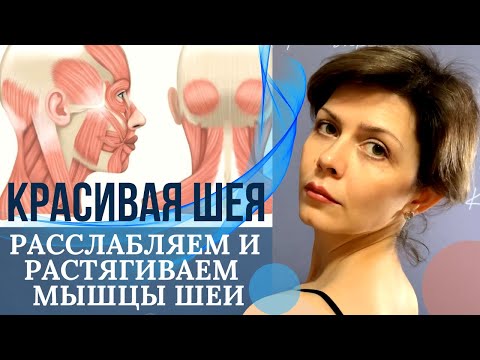 Как вытянуть шею в домашних условиях видео