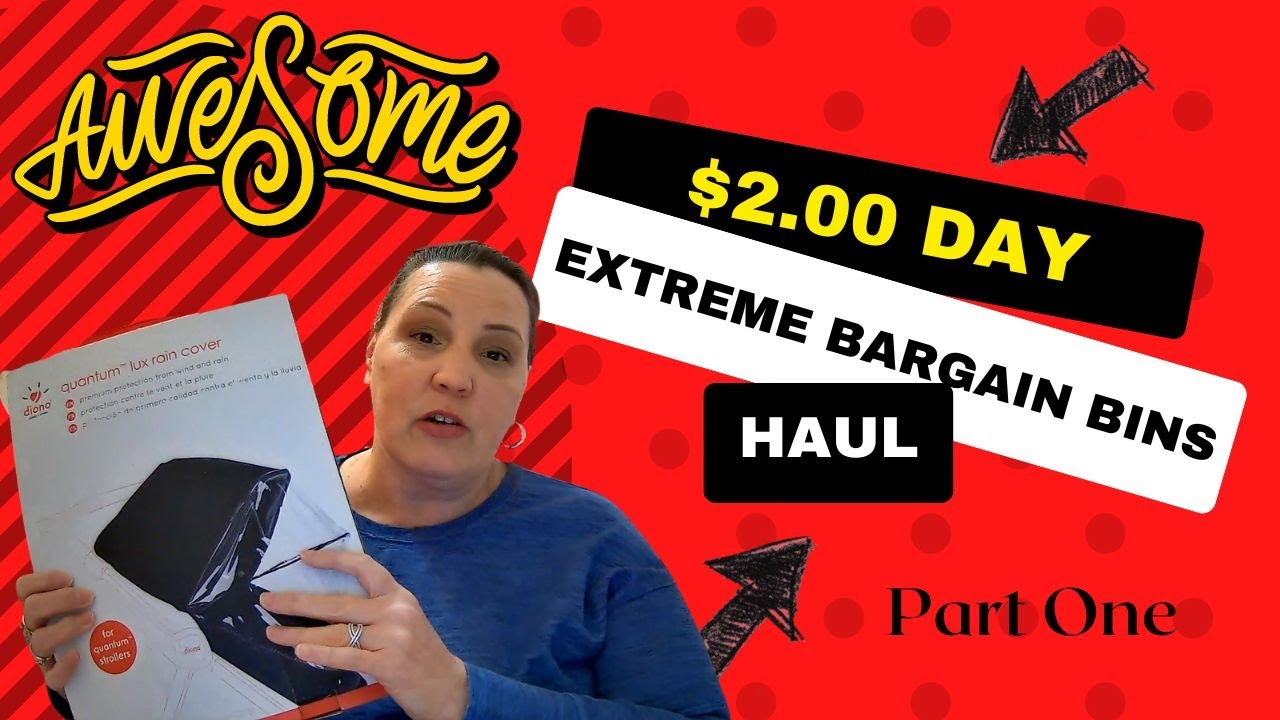 Extreme Bargain Bins 2.00 Day Haul (Part One) YouTube