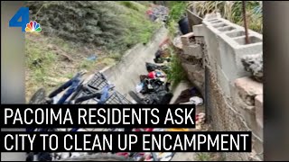 Pacoima Residents Plead With City to Cleanup Homeless Encampment | NBCLA