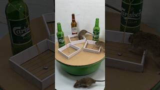 Simple And Perfect Homemade Mouse Trap Idea // Mouse Trap 2 #Rattrap #Rat #Mousetrap #Shorts