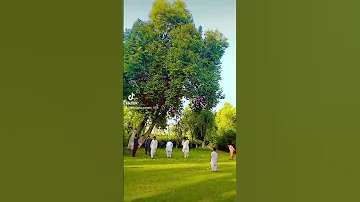 Tik Tok Superhit Video Juma Khan Khan Funny Grow New Religion Millionaudition 