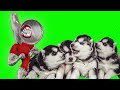 ВЕЛИКАЯ МАТЬ МЕГАФОН УКРАЛА МОИХ ЩЕНЯТ!! (Хаски Бублик) Говорящая собака Mister Booble