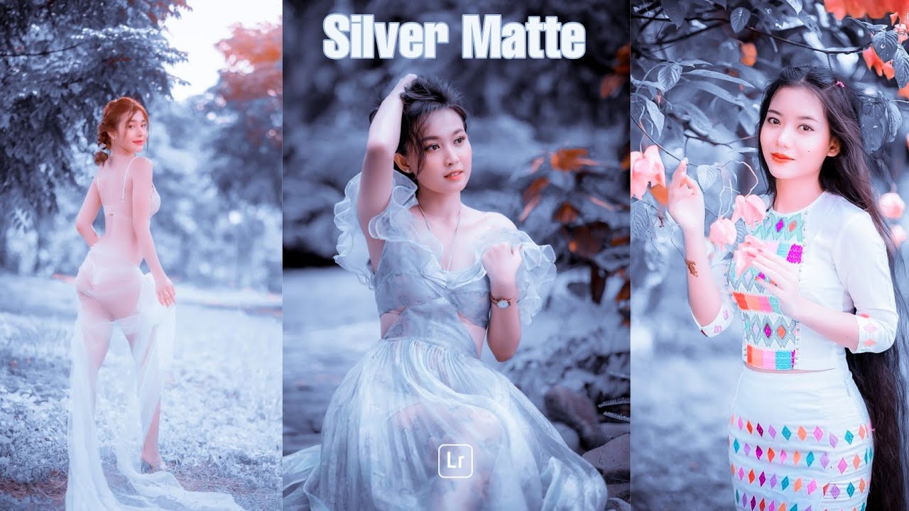 Silver Matte Preset |Free Lightroom Presets| Download DNG , XMP format