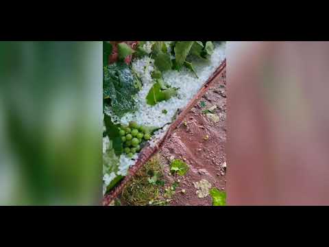 ძლიერი სეტყვა ასპინძის სოფლებში